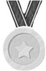 Silver Medal